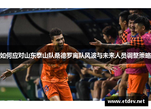 如何应对山东泰山队桑德罗离队风波与未来人员调整策略 如何应对山东泰山队桑德罗离队风波与未来人员调整策略
