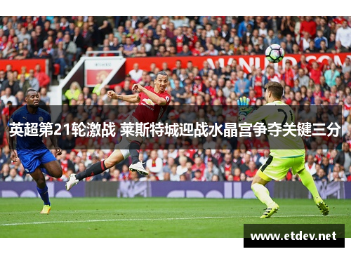 英超第21轮激战 莱斯特城迎战水晶宫争夺关键三分 英超第21轮激战 莱斯特城迎战水晶宫争夺关键三分